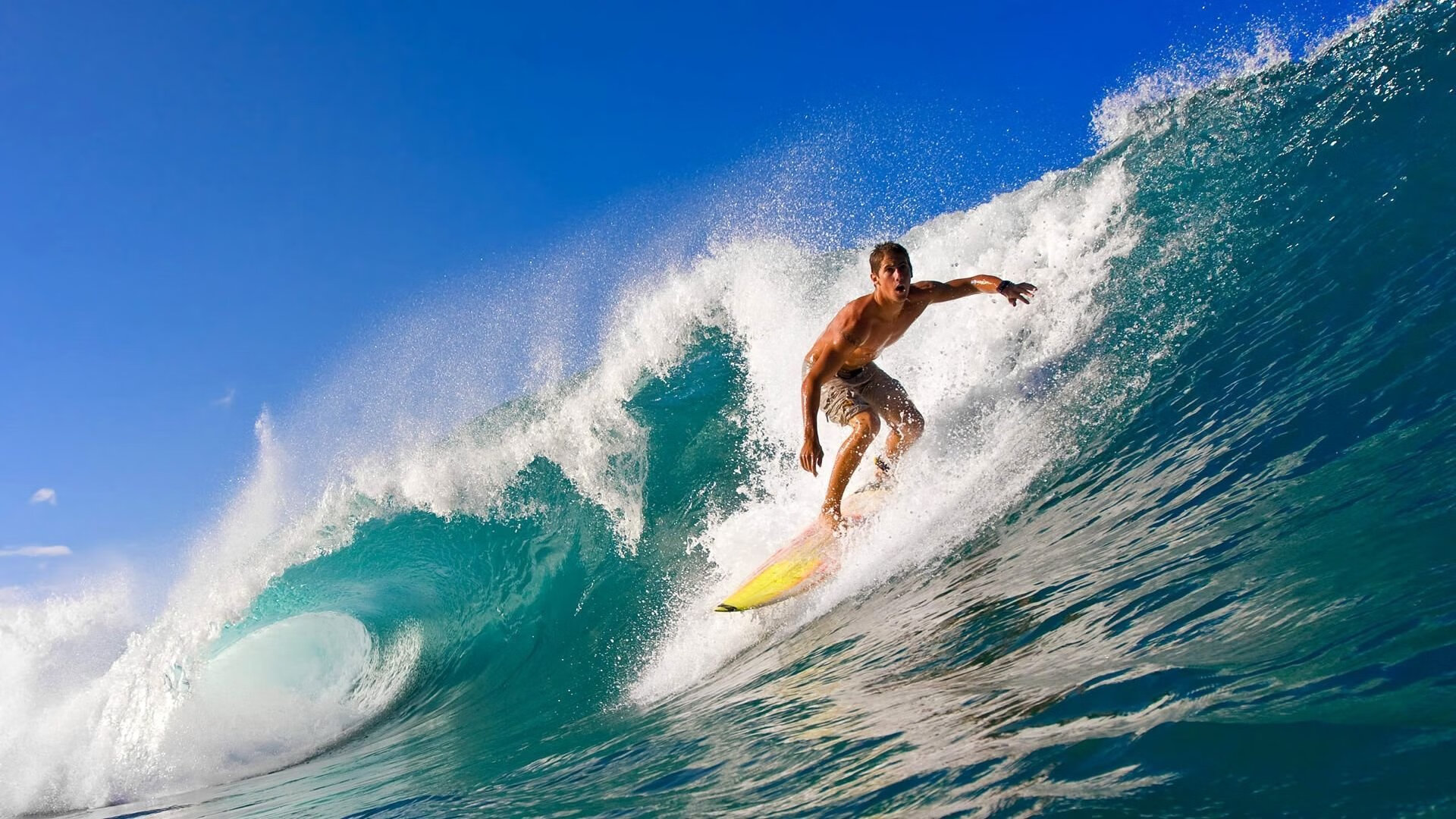 球员场上表现引专家关注，球员们在赛场上展现